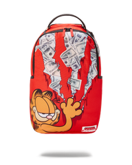 GARFIELD CAT SCRATCH (DLXR)