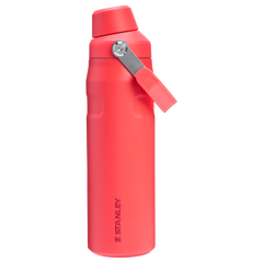 IceFlow™ Bottle with Fast Flow Lid | 24 OZ