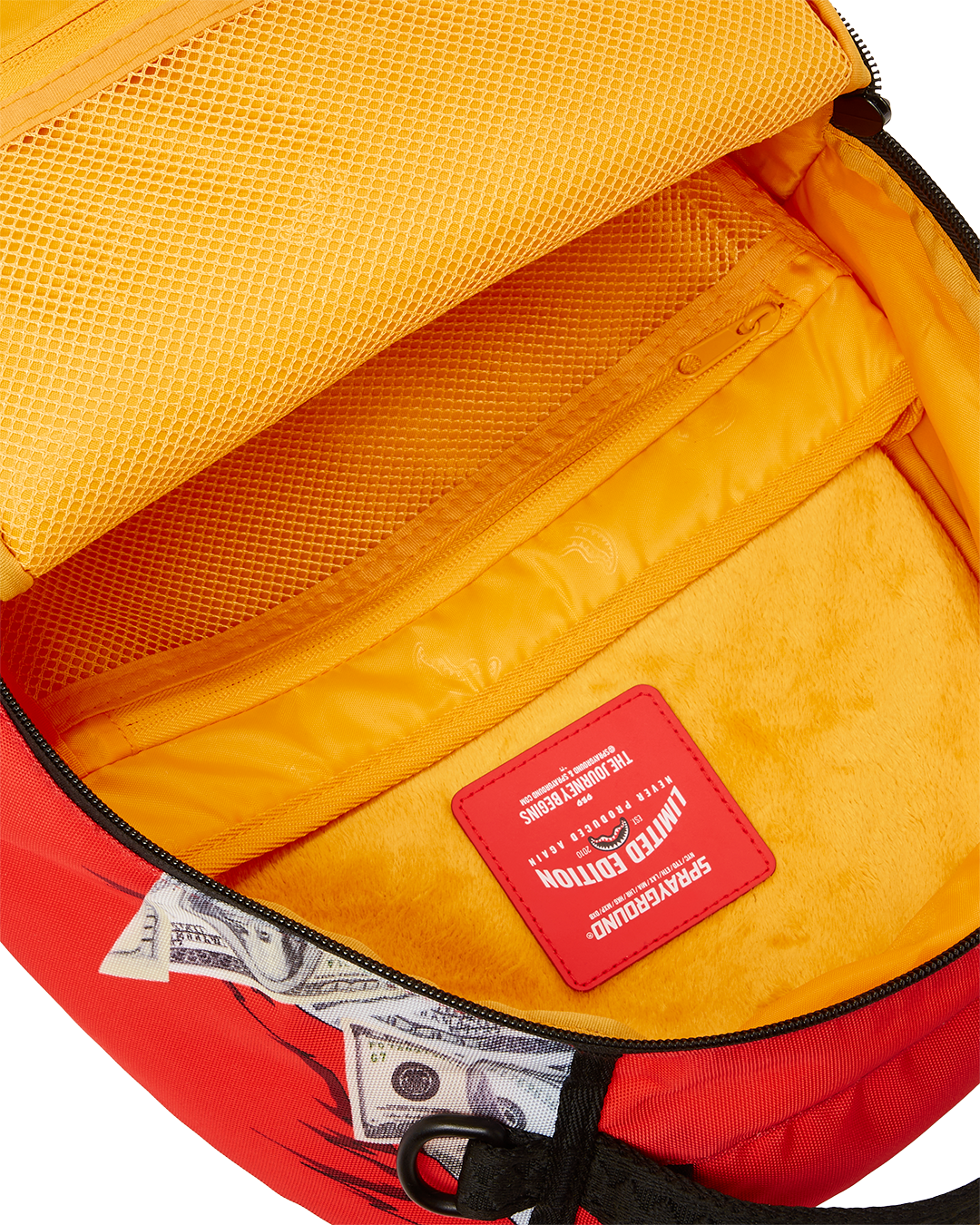 GARFIELD CAT SCRATCH (DLXR)