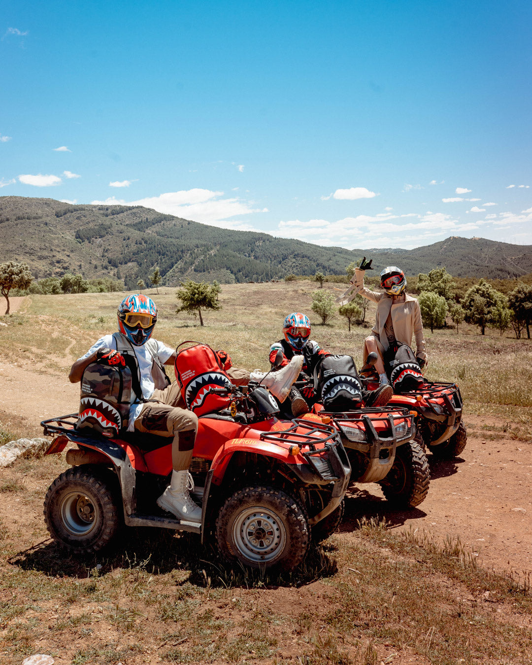 SHARK CENTRAL (RED) (DLXV)